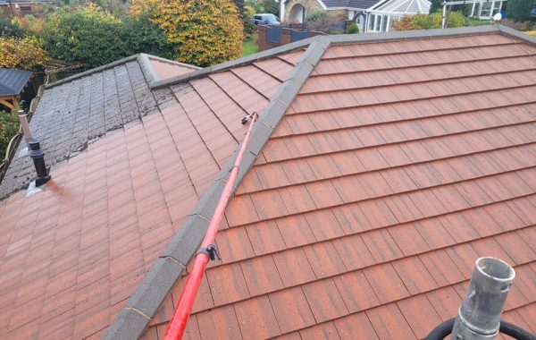 roof cleaning 